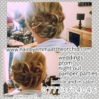 Hair By Emma Proffessional Experienced Hairstlist 1094404 Image 3
